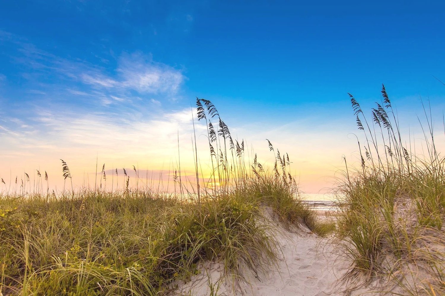 Amelia Island Holiday